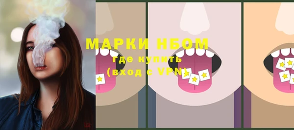 ГАЛЛЮЦИНОГЕННЫЕ ГРИБЫ Алексин