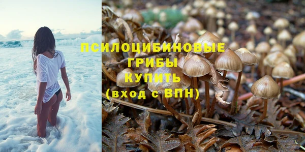 a pvp Алзамай