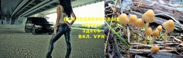 ГАЛЛЮЦИНОГЕННЫЕ ГРИБЫ Алексин