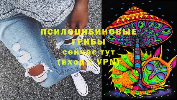 ECSTASY Алексеевка
