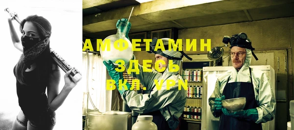 ГАЛЛЮЦИНОГЕННЫЕ ГРИБЫ Алексин