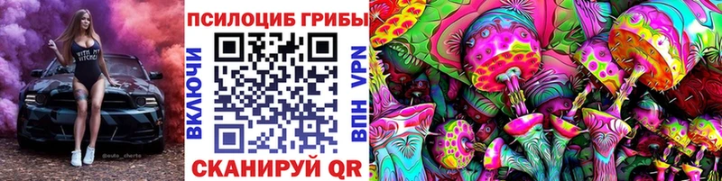 Галлюциногенные грибы Psilocybe  Ардон 